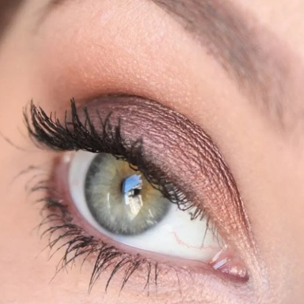 MAC SABLE eye shadow REFILL PAN NIB last one! brown frost